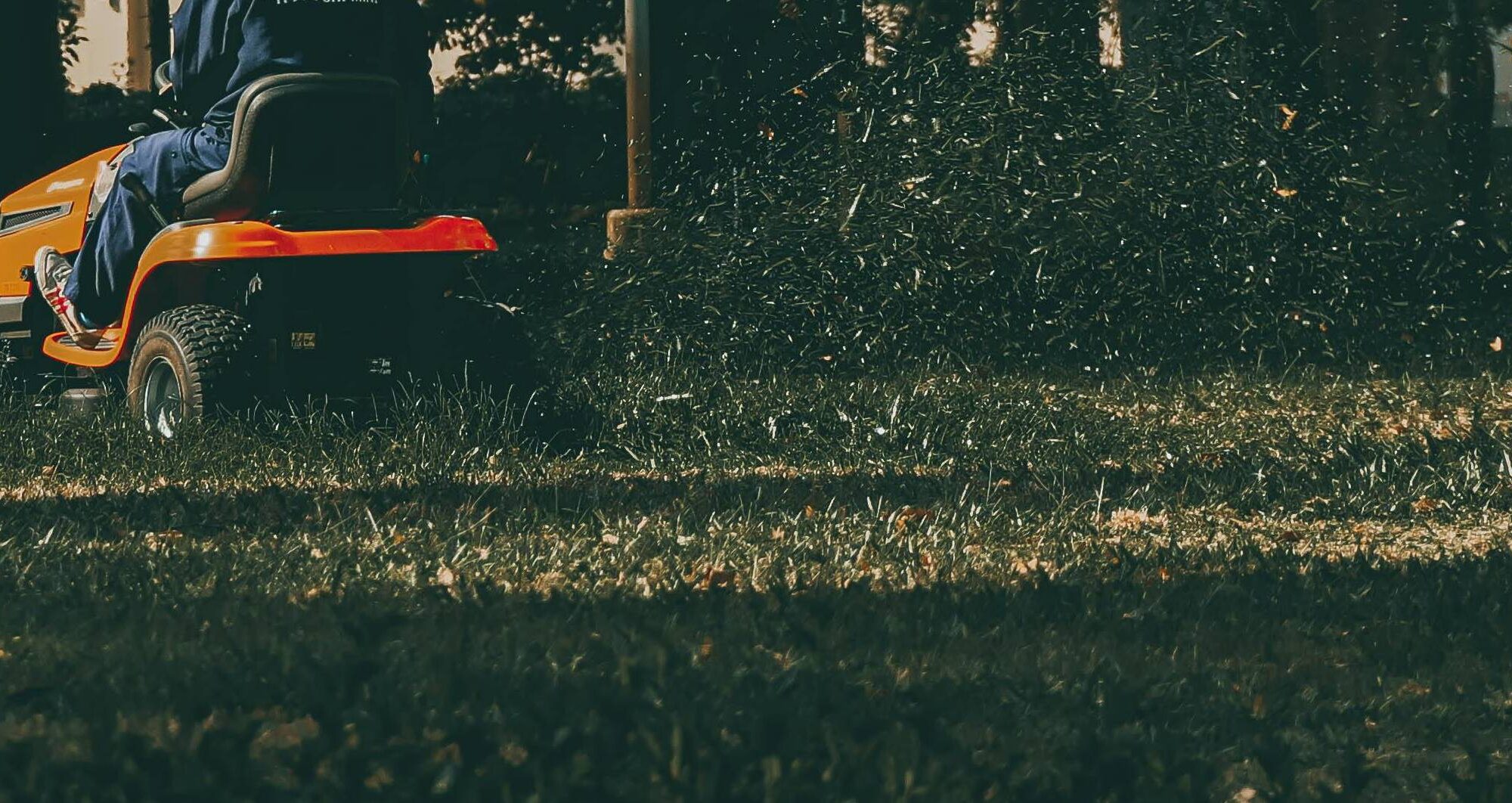 (Foto von Vietnam Photographer: https://www.pexels.com/de-de/foto/mann-sitzung-sitzen-rasen-11937296/)